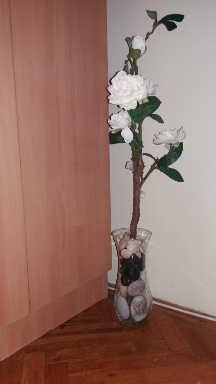 Sweet Home Center Apartment Novi Sad Extérieur photo